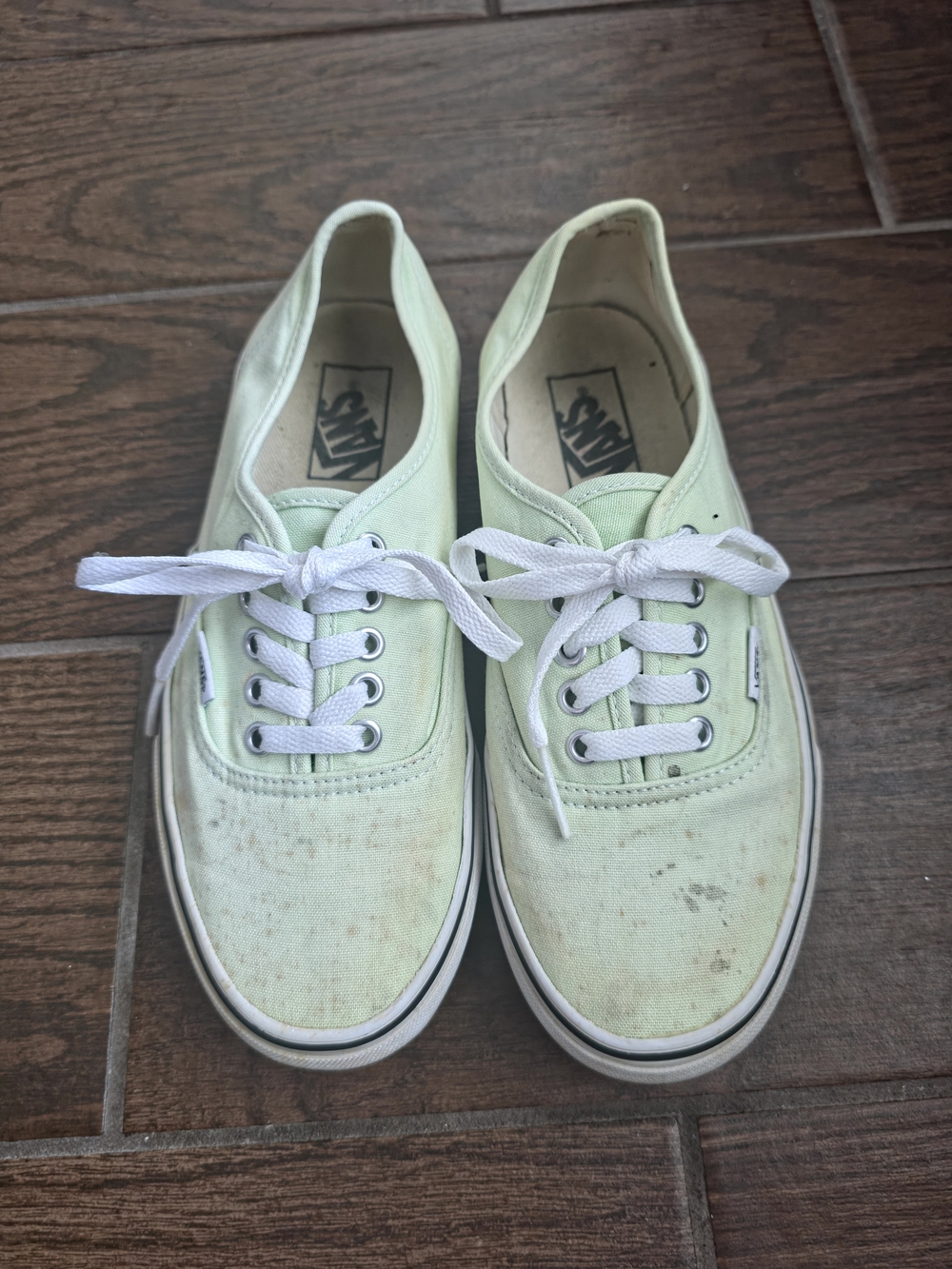 Vans Low-Top Canvas Sneakers in Pale Green and White